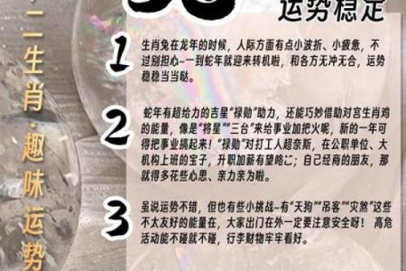 1987年属兔人在2025年运势及运程 87年38岁生肖兔2025蛇年...