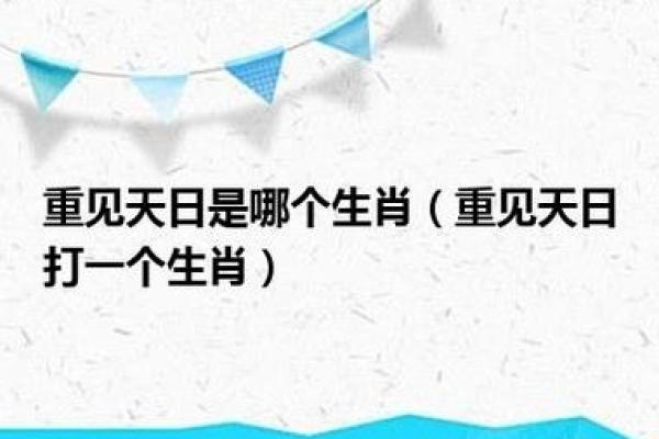 与天同庆打一生肖
