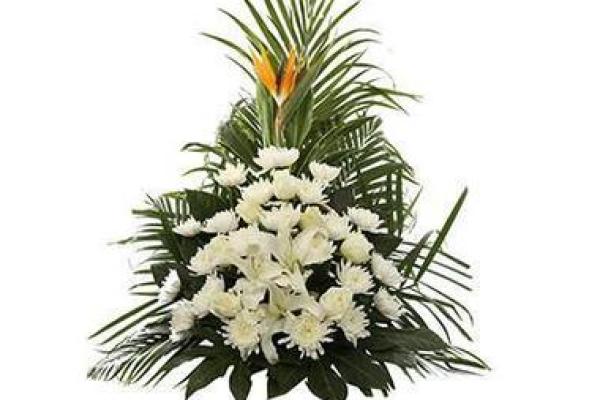 花圈是什么生肖 花圈里找打一正确生肖