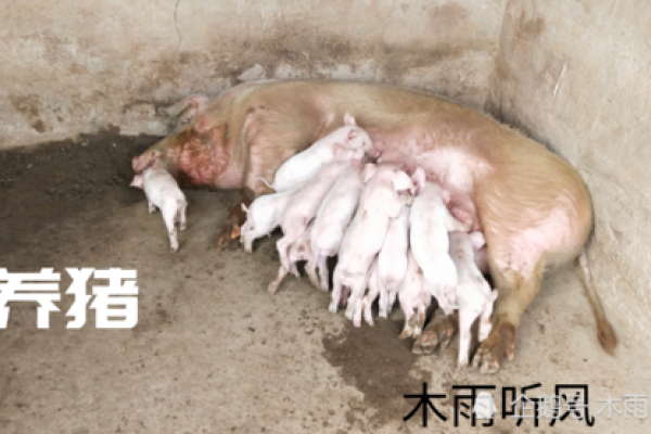 饱人不知饿人饥猜一生肖
