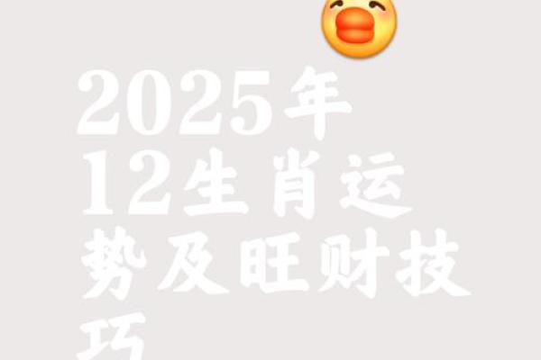属鼠人今日打麻将财运(属鼠人今日打麻将财运9月6日)