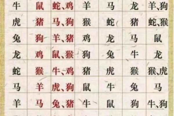 一一对应是什么生肖