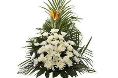 花圈是什么生肖 花圈里找打一正确生肖