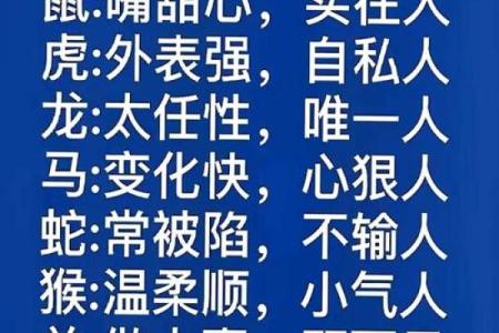 同甘共苦打一个生肖