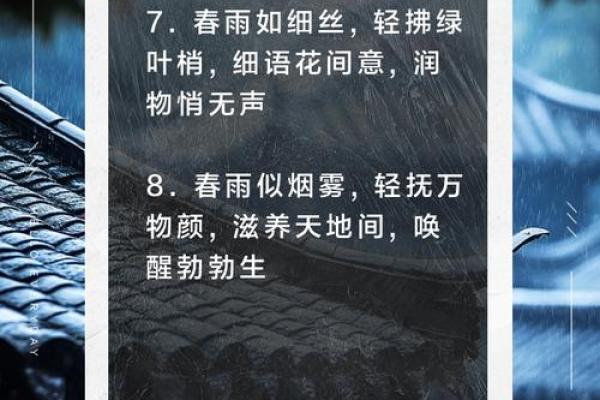 春雨沥沥是什么生肖 春雨沥沥打一生肖
