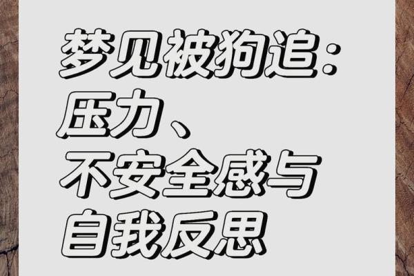 梦见很多狗追着咬我是什么意思