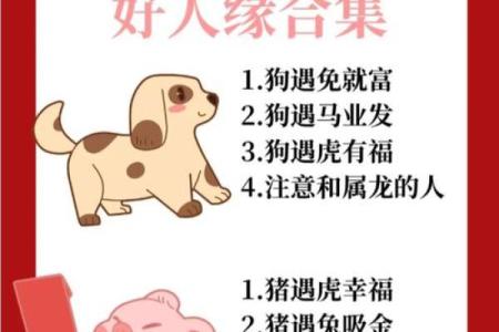 两雄相争猜最佳生肖
