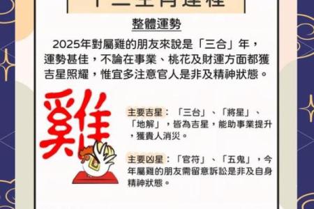 1972年属鼠男2025年运势(1972年属鼠男2025年运势运程每月运程)