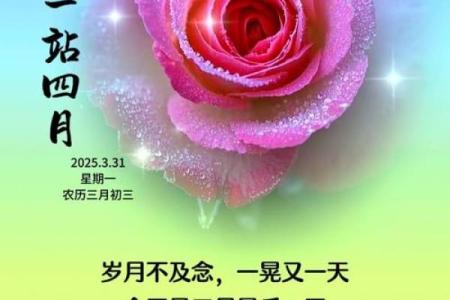 4月最好的三个日子(四月最好的日子)