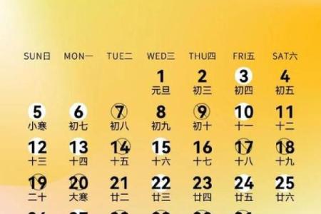 2025年哪天适合结婚(2025年哪天适合结婚)