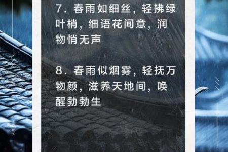 春雨沥沥是什么生肖 春雨沥沥打一生肖