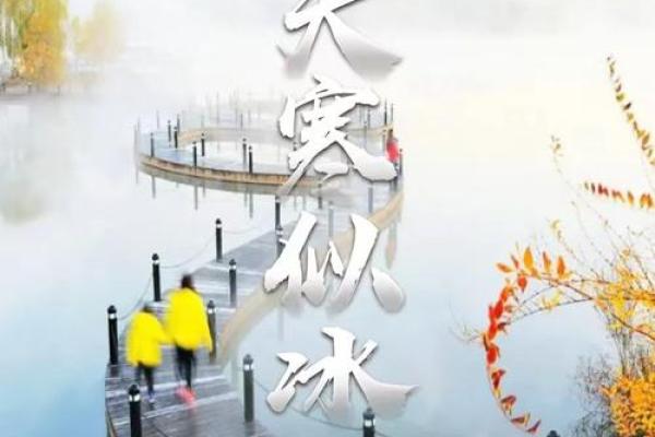 数九寒天是什么生肖 数九寒天打一正确生肖动物