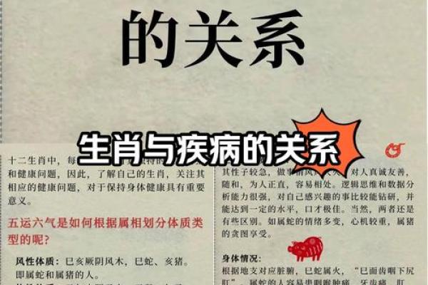 七上八落是什么生肖
