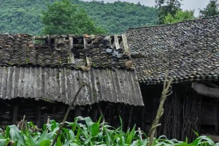 梦见儿时住的老房子