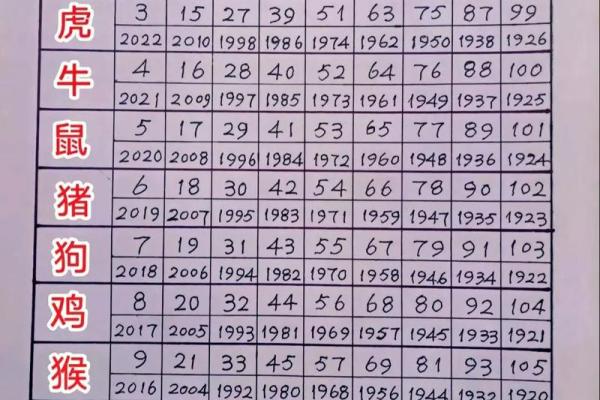 情深似海是什么生肖