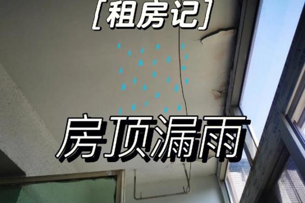 梦见房子漏雨了