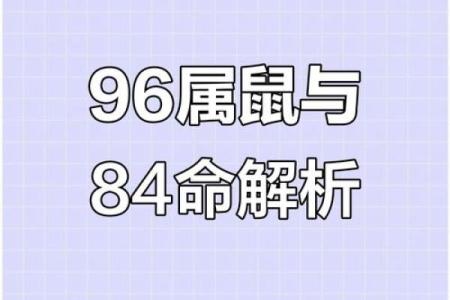 84年属鼠女2024年运势及运程详解(84年属鼠女2024年运势及运程详解视频讲解)