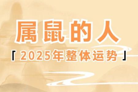 72年的属鼠人2025年运势如何(1972年属鼠人2025年运势运程每月运程)