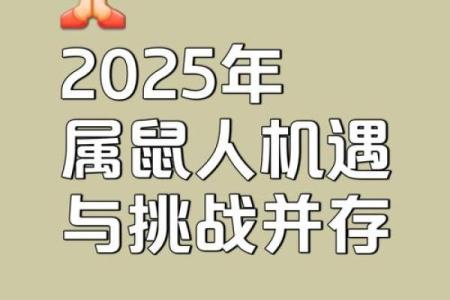 2025年属鼠人1996年的全年运势(1996年属鼠2024年运势及运程)