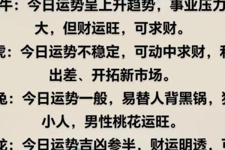 属鼠的人今年运势(属鼠人今年运势)