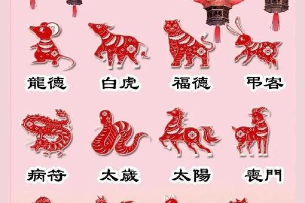 1996年属鼠2025年运势及运程(1996年属鼠2025年运势及运程详解)