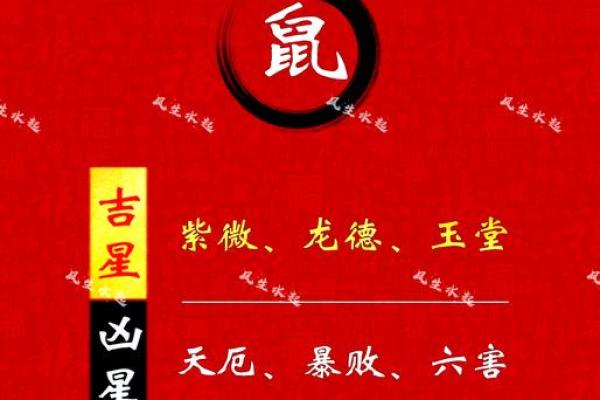 08年属鼠男孩2025年运势(2008属鼠一生命运男孩)