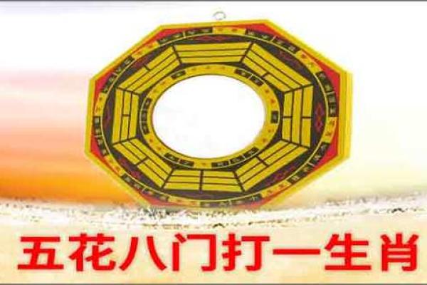 眼花缭乱是什么生肖