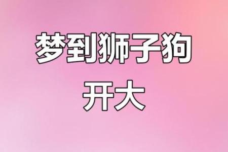 梦见追狗