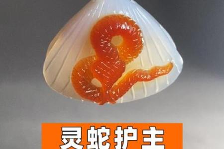 掌上明珠是什么生肖打一肖 掌上明珠是指哪个一生肖