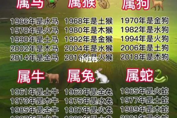 2021是什么生肖念 21是什么生肖号码
