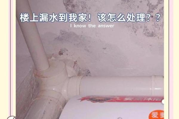梦见娘家房子漏水是什么意思啊