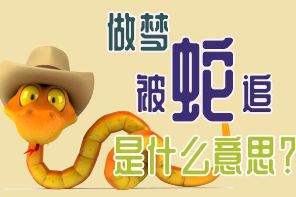 梦到蛇追我