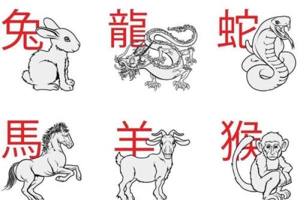 孤苦伶仃是什么生肖