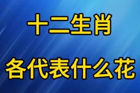 仗义忠臣是什么生肖 仗义打一准确生肖