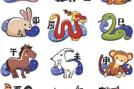 走南闯北是指什么生肖