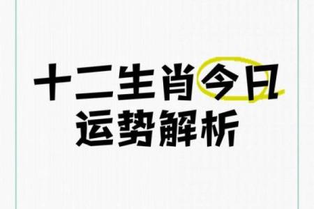 2022年属什么 2022年属什么生肖 今年多大了