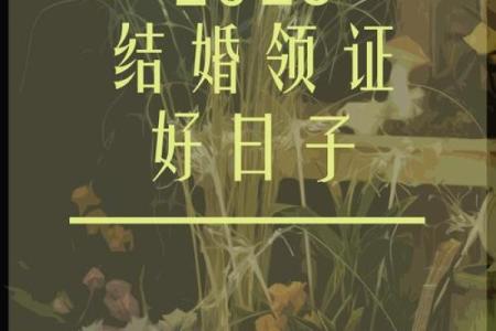 2025年适合结婚日子(2025年结婚黄道吉日)