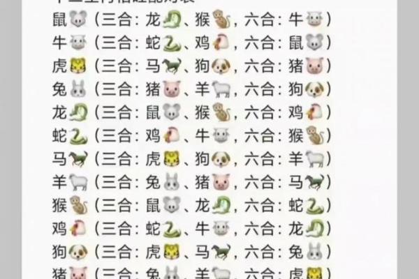 三口六面是什么生肖
