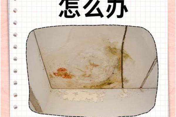 梦见家里房子漏雨了是什么征兆