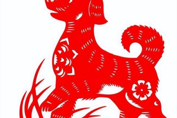 水火不容什么生肖
