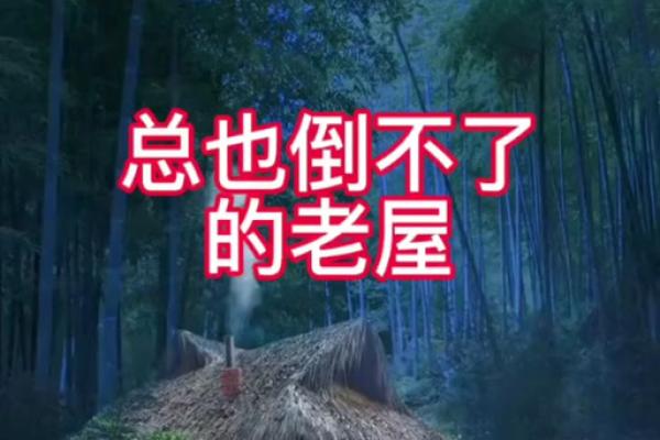 梦见家里的老房子是什么意思