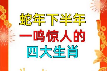 枪林弹雨是什么生肖