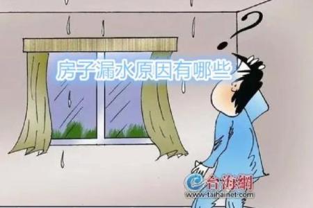 梦见自己家的房子漏水是什么意思