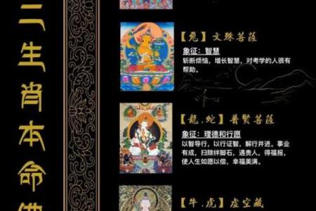 名列前茅是什么生肖 十二生肖名列前茅是什么动物