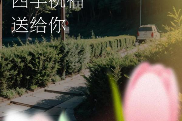 梦见搬进新房子