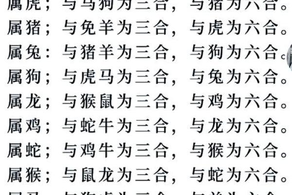 梅花三弄是什么生肖