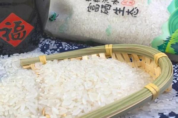 道道地地是什么生肖 道道地地打一准确生肖动物