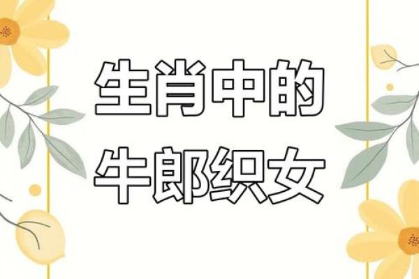 牛郎织女是什么生肖