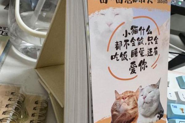 2025年诸事皆宜的日子(2025年诸事皆宜的日子猫咪送人的好日子)