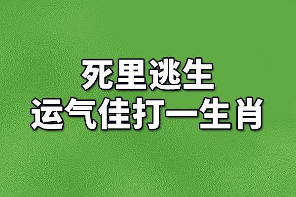 瓜熟蒂落是什么生肖